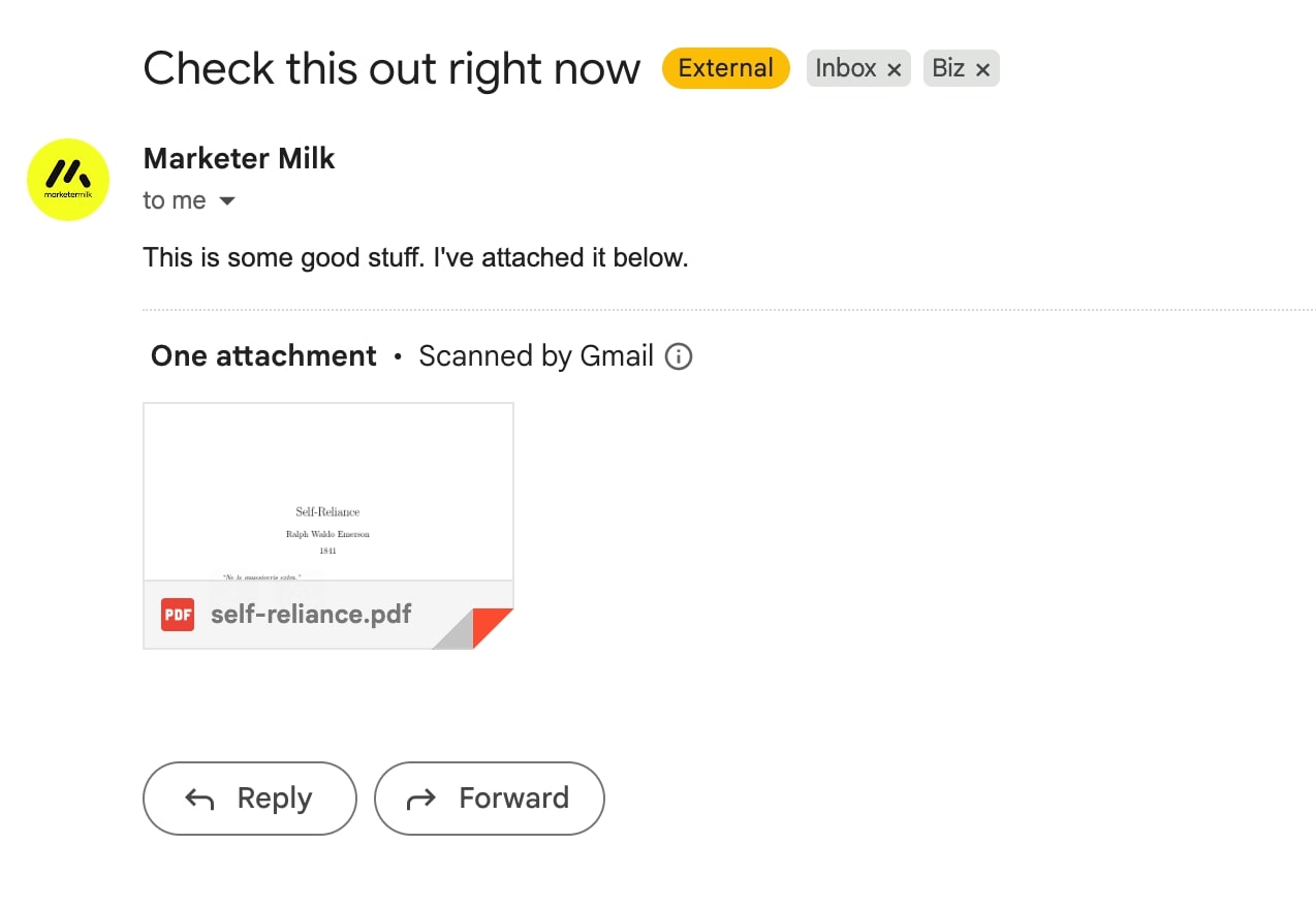 Test email with PDF attachment