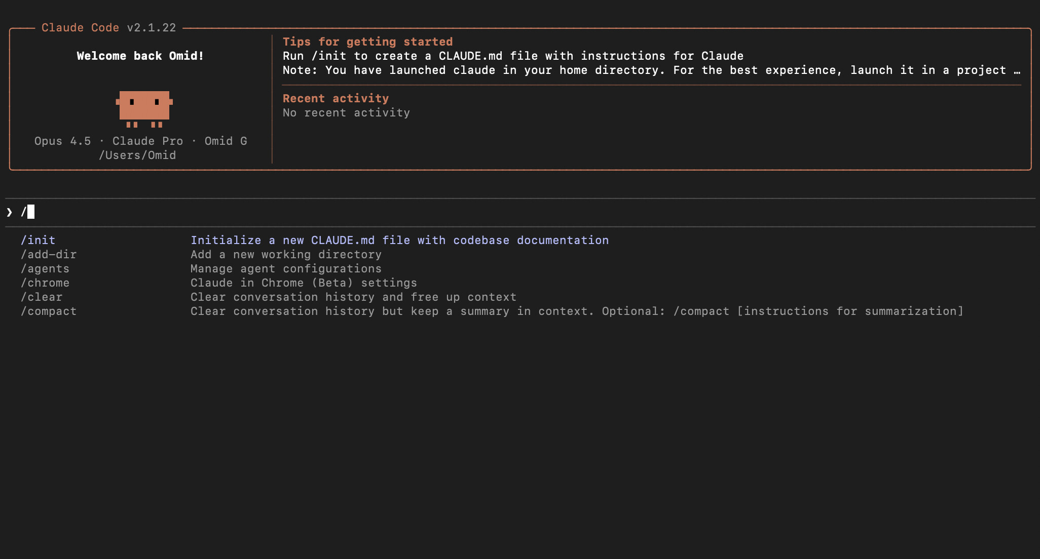 Claude Code in my terminal