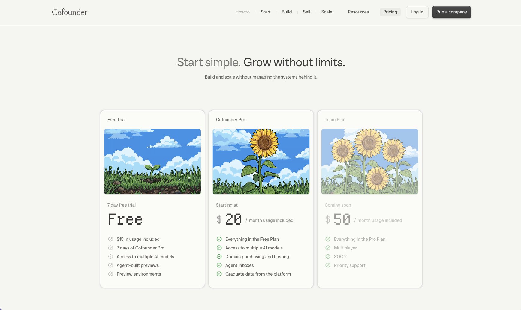 Cofounder pricing