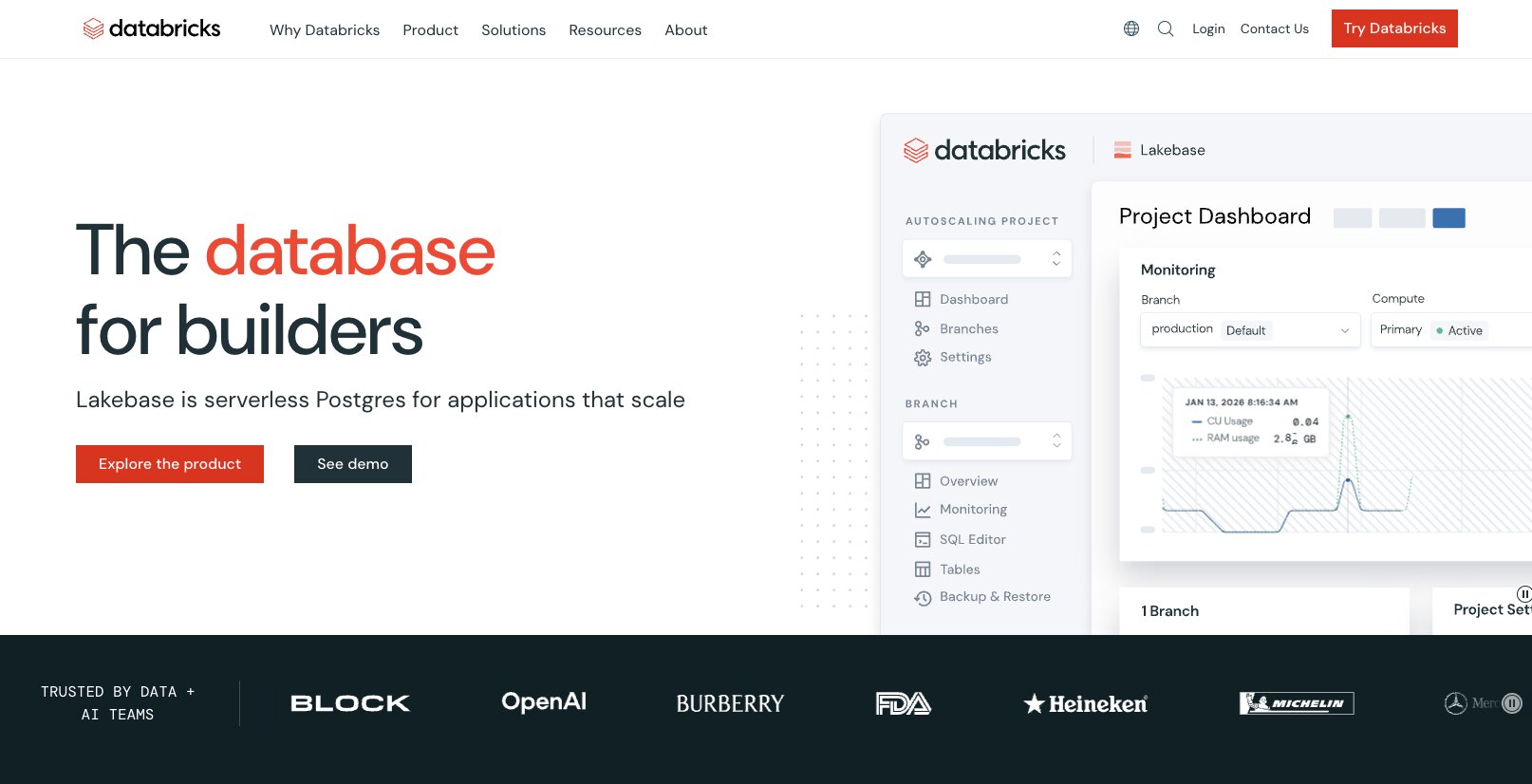Databricks platform